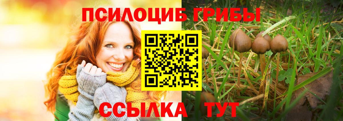 Псилоцибиновые грибы мухоморы  Вход с VPN  Галлюциногенные грибы Cubensis  хочу   Тара 