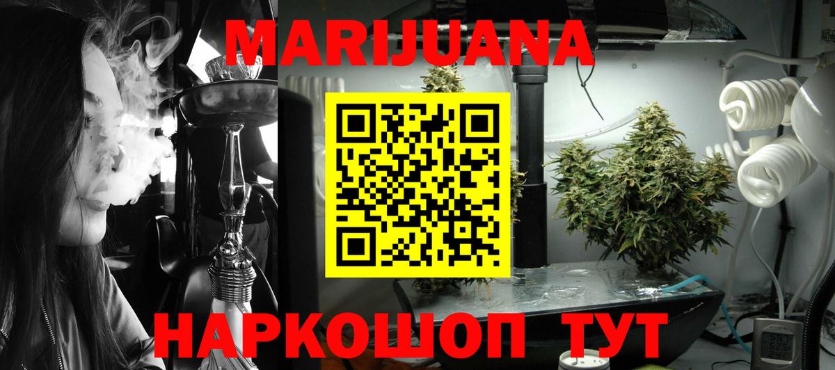 Бошки Шишки тримм Тара